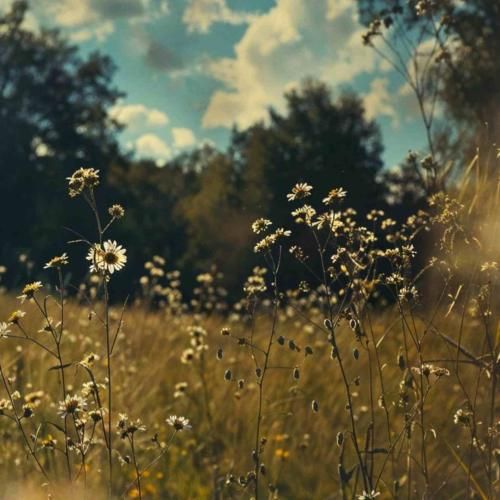 علی سورنا و بهرام مهلکه