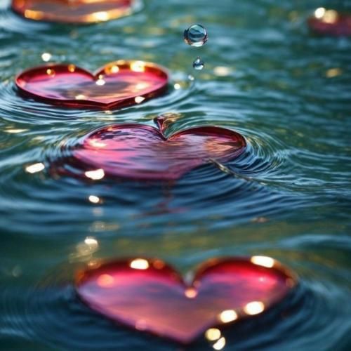 مریمو پاشو بریم ده با هم گردو بکاریم