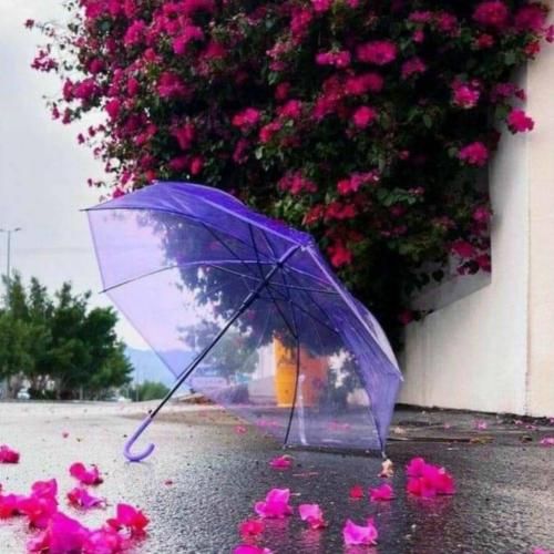 هوای گریه دارم تو این شب بی پناه دنبال تو – هوش مصنوعی