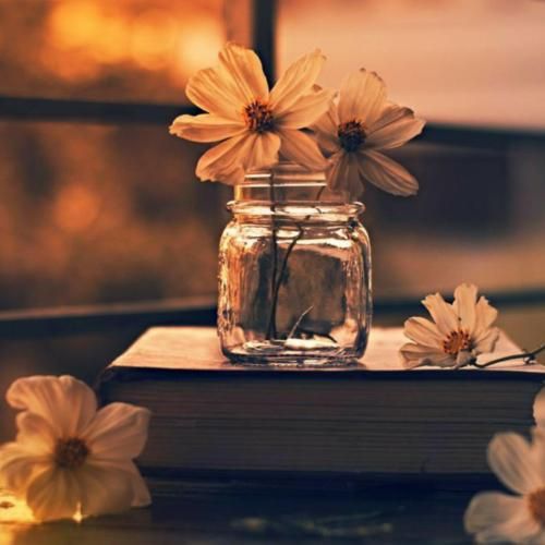 خاطرخواه میدونم خاطر خوام دیوونم