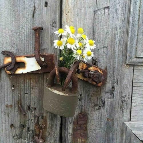 شب شد و مهتاب شد چشم فلک خواب شد