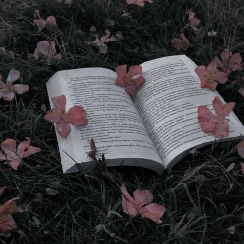 بهم ریخته دنیا با این خستگی ها تو یکی اخماتو وا کن