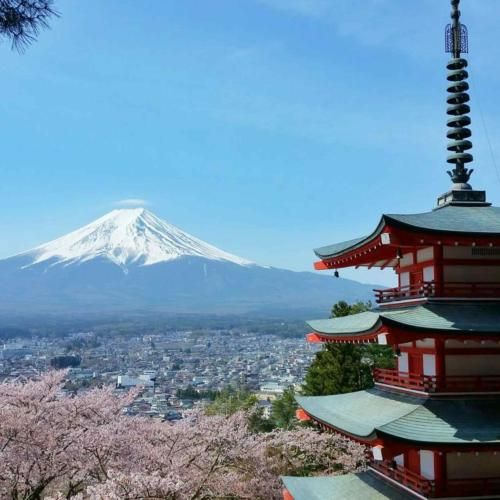 ساعت حوالی شب شدی روانی من ویناک