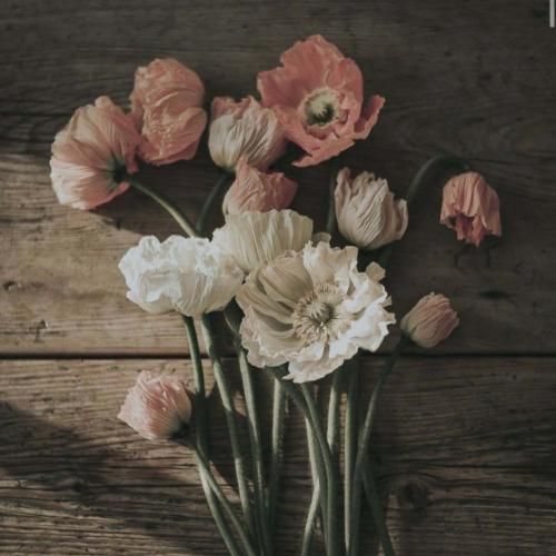  به خدا بی تو دلم پر از غمه همه دنیا برام