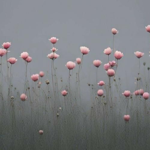 تو که قاصد عشقی تو بیداری و خوابم