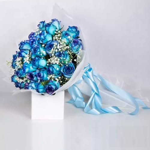 آماده ای میخوایم کنیم شروع دستا بالا اکیپ هلو