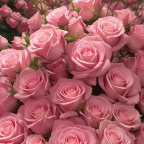 منت این دو روزه هم میکشیم منت هر افاده