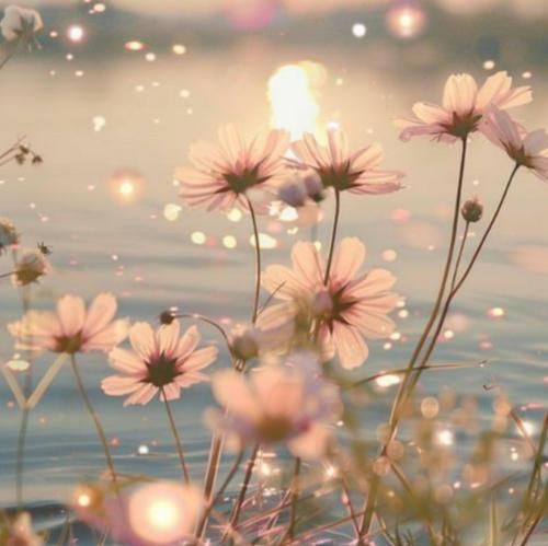 این آسمون سالهاست ستاره دریده