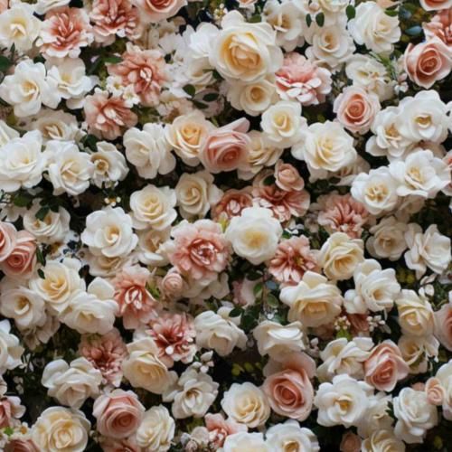 چی دیدی چی شنیدی که با من هر روز و هر لحظه