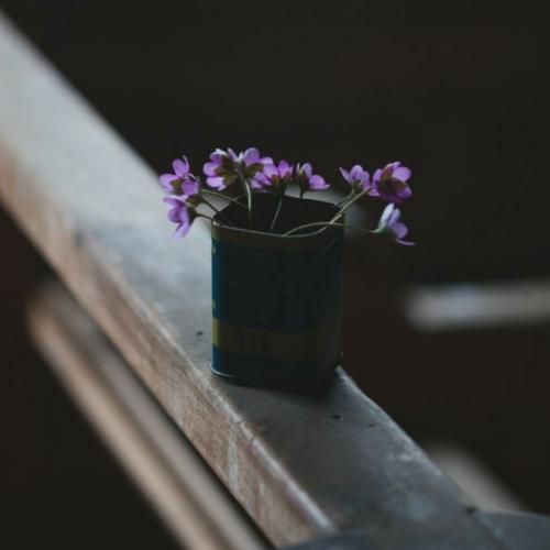 این شبی که میگن شب نیست اگه شب مث