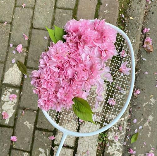 لالایی گنجشک لالا مهتاب لالا