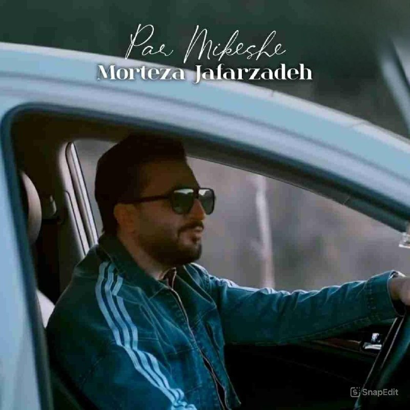 دانلود آهنگ جدید مرتضی جعفرزاده به نام پر میکشه