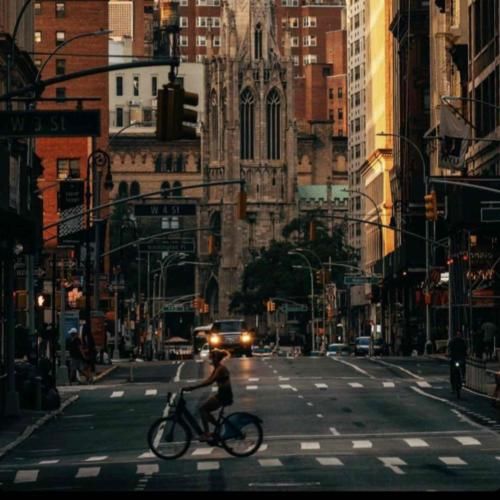 مثل یه پرنده که همه پراشو چیدن