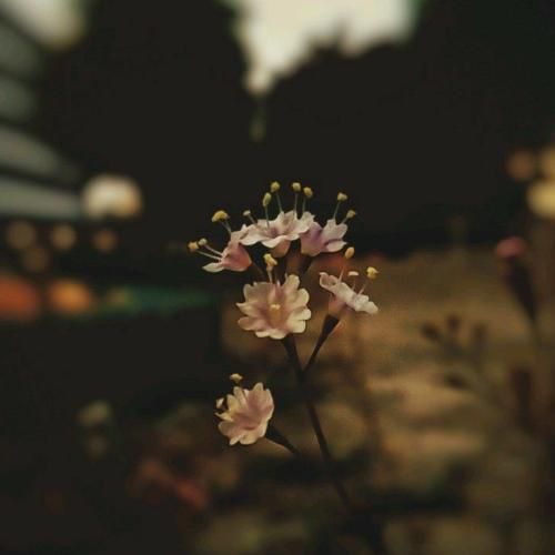 خیلی دوست داشتم دستای تو مال من باشه