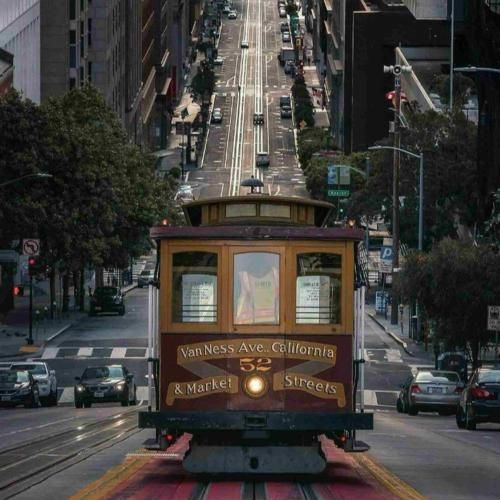 عطر شکوفه داری مثل گل بهاری