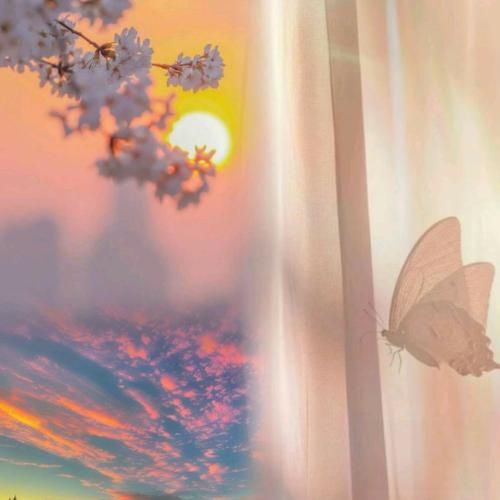  بذارم سرمو رو شونه های تو دوباره میترسم بگم آره