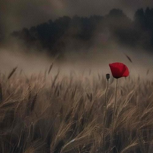 باز دوباره ولنتاین صبحش خرید شبش فاین