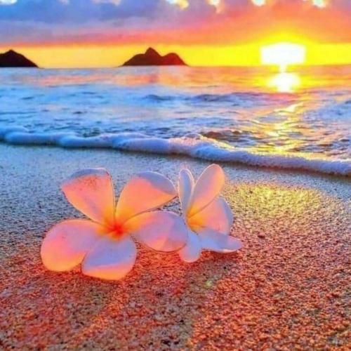 فاطمه مهلبان یاد تو