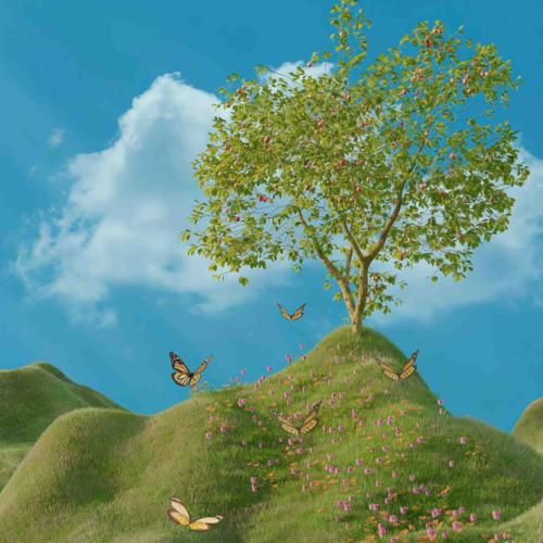 بهار بهار باز اومده دوباره