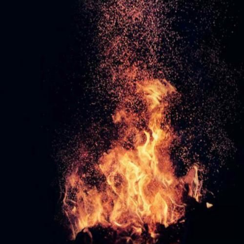 تنها با گلها گویم غمها را