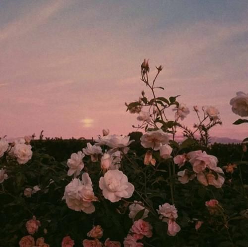 دل من تنگه برات همیشه چشم به راتم