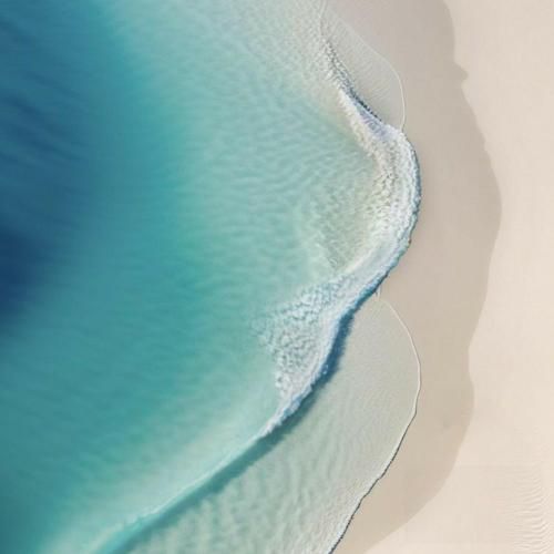 تا خودکار رو میذارم پای برگ عقلم ناخواسته برمیداره