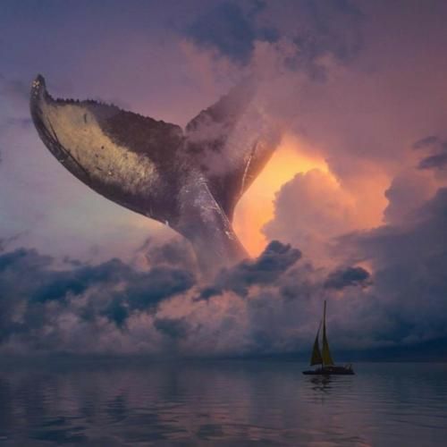  نبودی نبودی رفتی ولی بعضی شبا سر بزن به خواب من