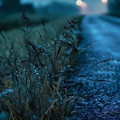 هرچی حال میداد دیگه حال نمیده