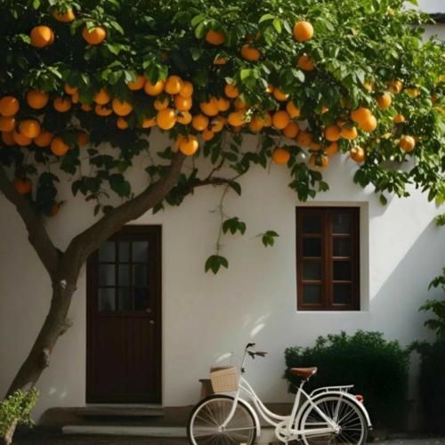 به خدا تو دلم نمیتونه بگیره کسی جز تو – هوش مصنوعی