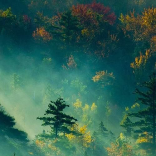 ای وای گلم وای گله دلبر نازو خوشگلم