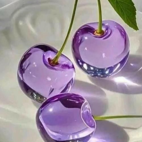 اونی که میخواستی تو غبارا گم شد مرغی شد