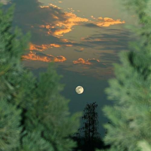  بهترین خاطره ها مو از تو دارم توو این شبای خالی