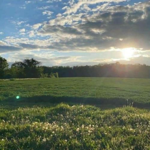 گل زدم ثبت شده گل ملیه روم کراش میزنن