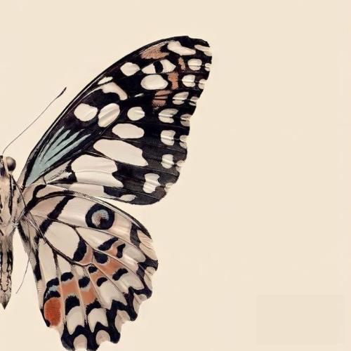 خبر رسیده بعد من با چن نفر بودی حق داری