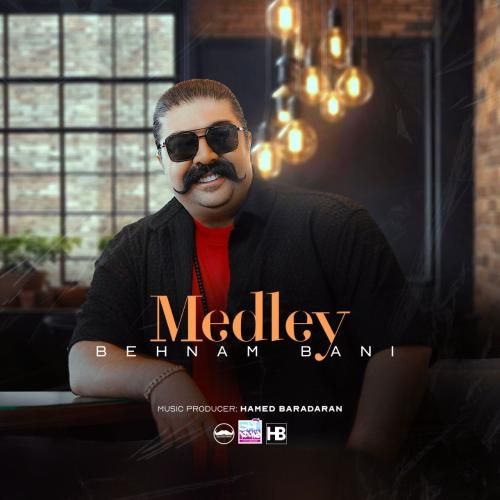 بهنام بانی مدلی