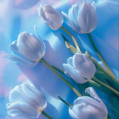 از اخلاقم پیداس عوض شدم اجبار قلبم شریک جرمت