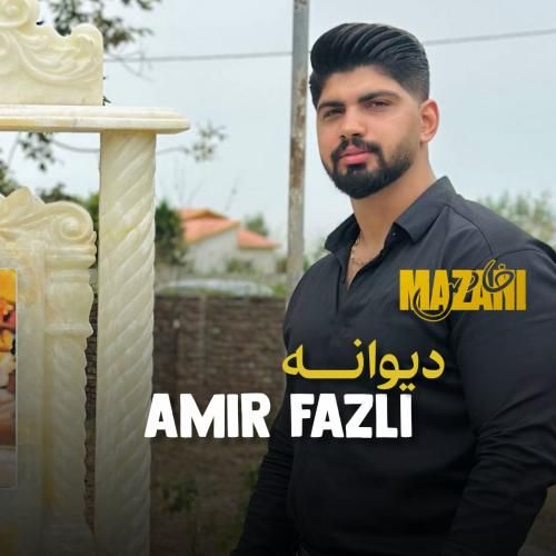 امیر فضلی دیوانه