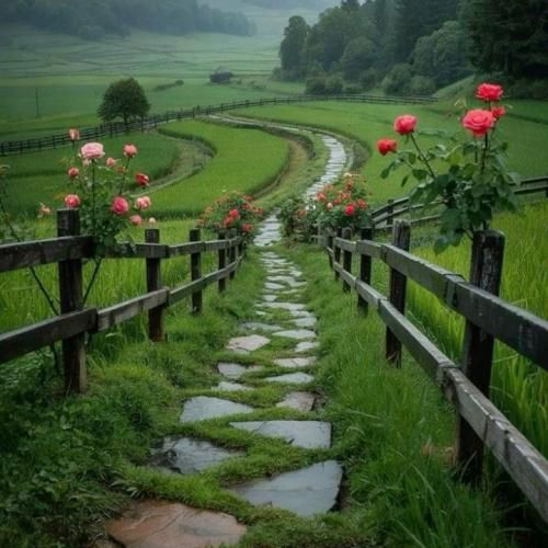 اما دوباره میرقصن اونا که دوباره رو دوباره میفهمن