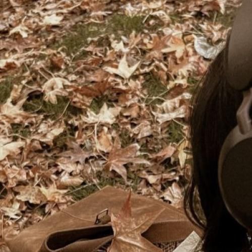 گفتم دوست دارم واست نبود مهم منو میخواستی