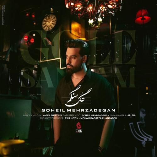 سهیل مهرزادگان گل سنگم