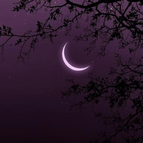  حالا فهمیدی صدشونم بزارن نمیشن هیچکدومشون صفر منم