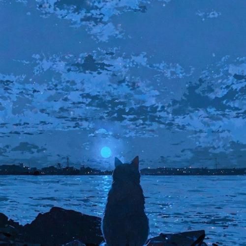  روی موندنت ندید بستم شدی خارج از دید رس