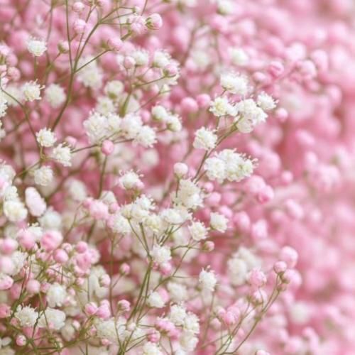 دریا اولین عشق مرا بردی دنیا دم به دم مرا تو آزردی