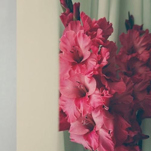  منی که تخس بودم نمی‌گرفت گریم الان یسره بارونیه