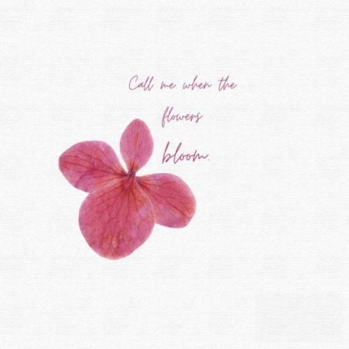 دانلود آهنگ هر جا که میرم تو دل من مست تا که میشم