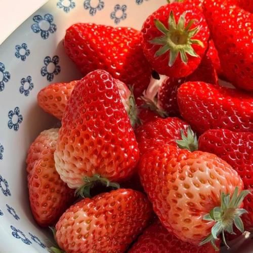  احساساتمو ترور کردم رفته رفته رفتی به ندرت