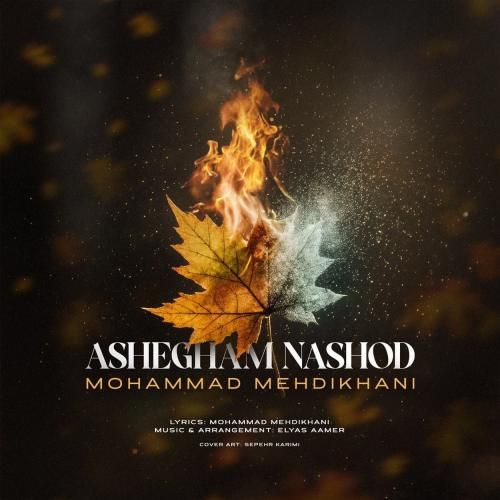 محمد مهدی خواه عاشقم نشد