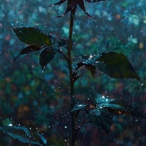 نفرست دیگه واسه من دسته گل الان من شدم یه روانی