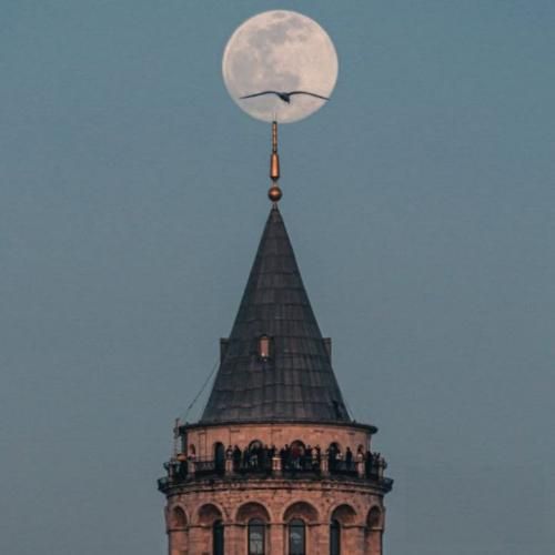 دور بود دنیات از دنیام این دیونه مغرور بود