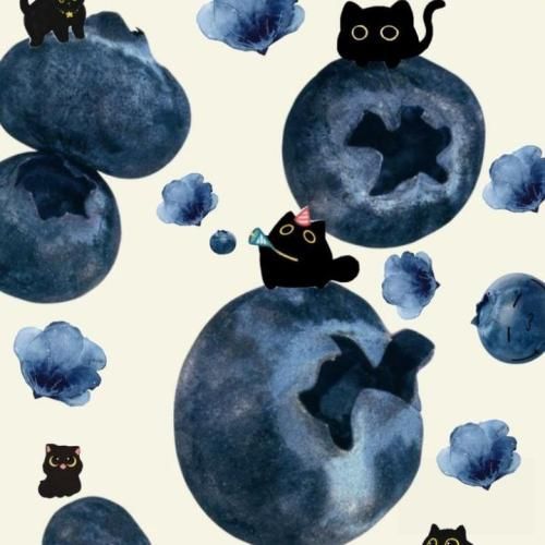 فیسش نچراله ولی سلیقمه کلا یک و شصت قدشه